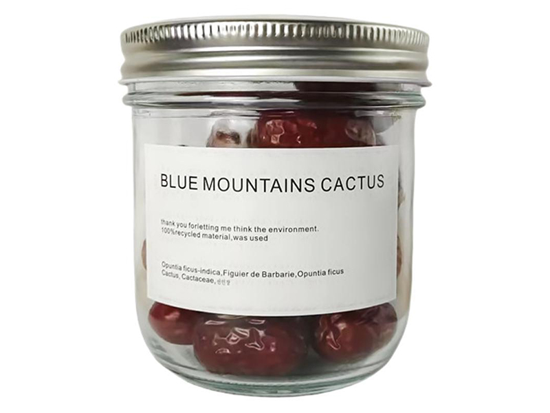 Glass Mason Jars With Lids