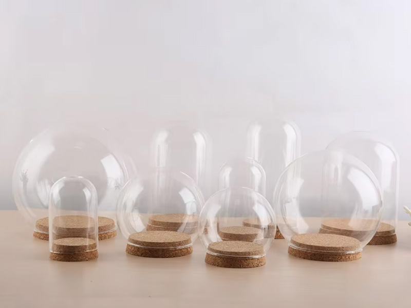 High Borosilicate Glass Dome Glass Base and Bamboo Accent